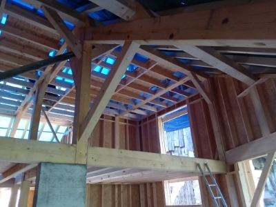 S Chalet au col de Tami mai 2024 2