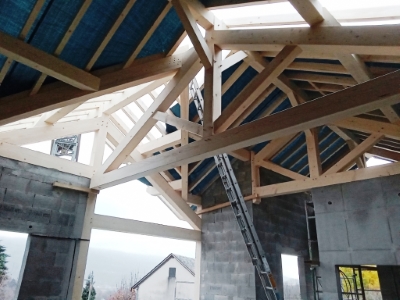 S Villa Mercury Oct 2024 3